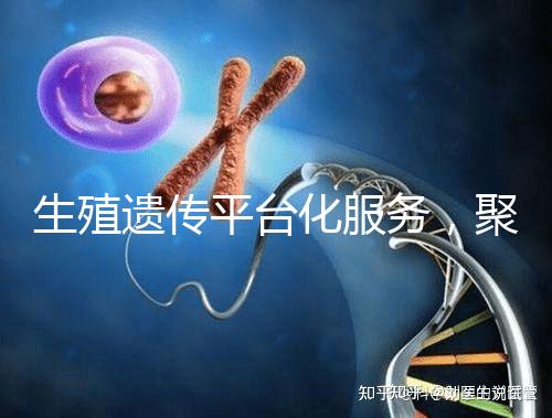 生殖遺傳平臺化服務(wù),聚焦精準化臨床應(yīng)用