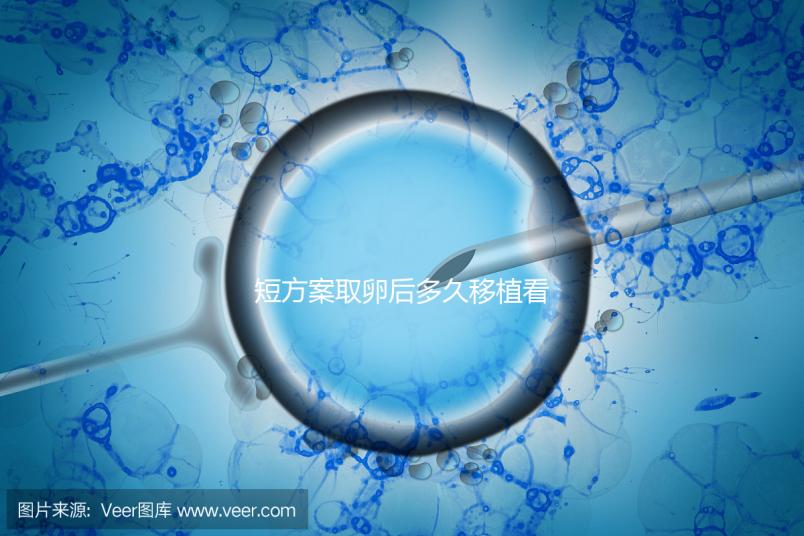 短方案取卵后多久移植看時(shí)機(jī)，關(guān)于試管你要知道一些事
