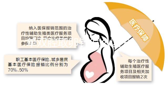 單雙腔取卵針怎么區(qū)分,針號結構是關鍵(內(nèi)含說明書）