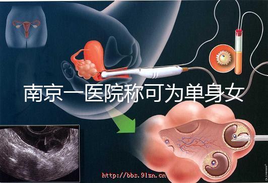 南京一醫(yī)院稱(chēng)可為單身女性試管助孕,并可指定嬰兒性別,衛(wèi)健委介入