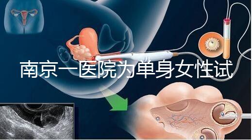 南京一醫(yī)院為單身女性試管助孕引爭(zhēng)議背后:當(dāng)把生育需求納入法規(guī)框架