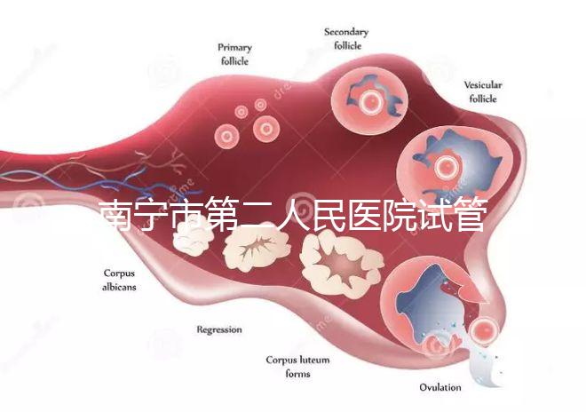南寧市第二人民醫院試管成功率不低有前提，選對醫生更好孕