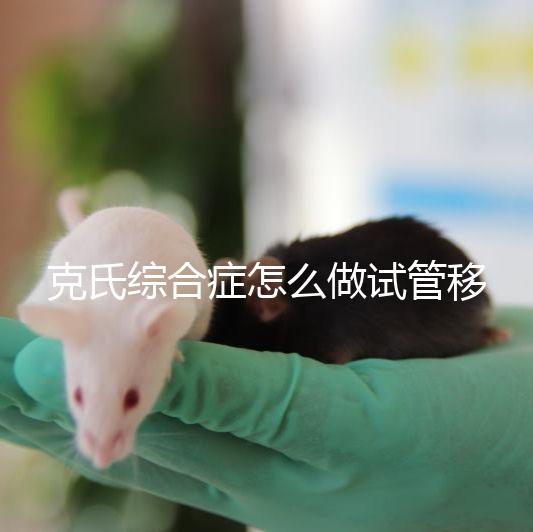 克氏綜合癥怎么做試管移植看這，促排取卵一個流程不能少