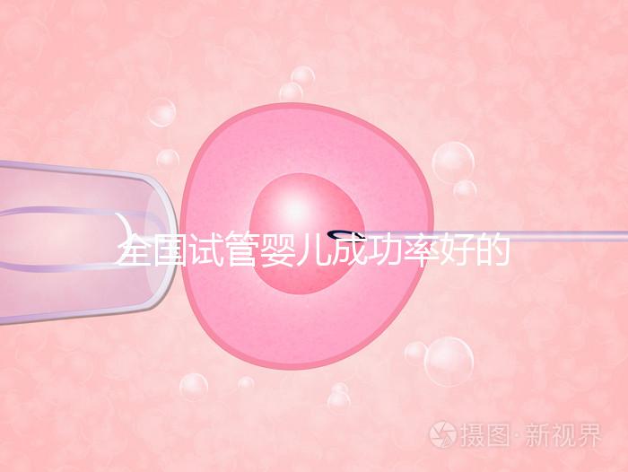 全國(guó)試管嬰兒成功率好的醫(yī)院排名