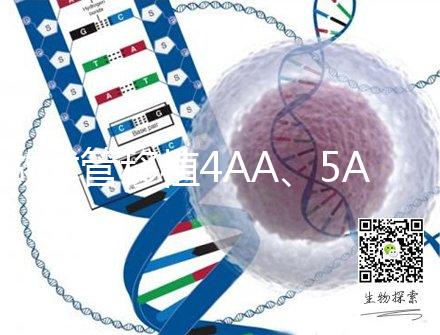 做試管移植4AA、5AA級別囊胚，寶寶出生后有什么不一樣嗎？