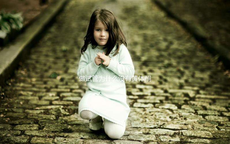 做試管為什么沒有黃體酮？2025年生殖科醫生權威解讀：從個體差異、醫療方案到科學應對的全流程指南