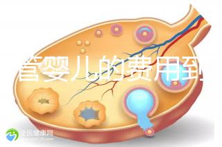 做試管嬰兒的費(fèi)用到底要多少