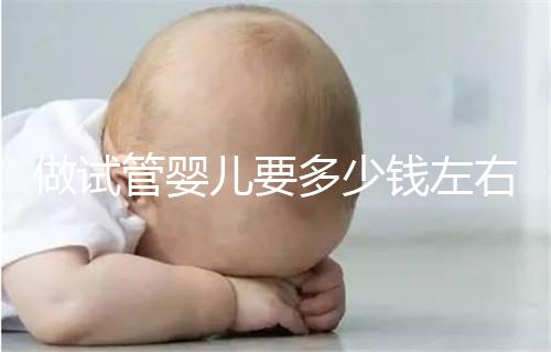 做試管嬰兒要多少錢左右？