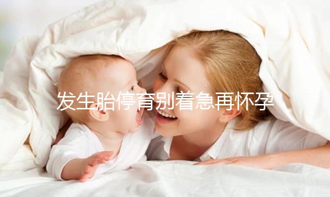 發生胎停育別著急再懷孕，最起碼得要過這么久...