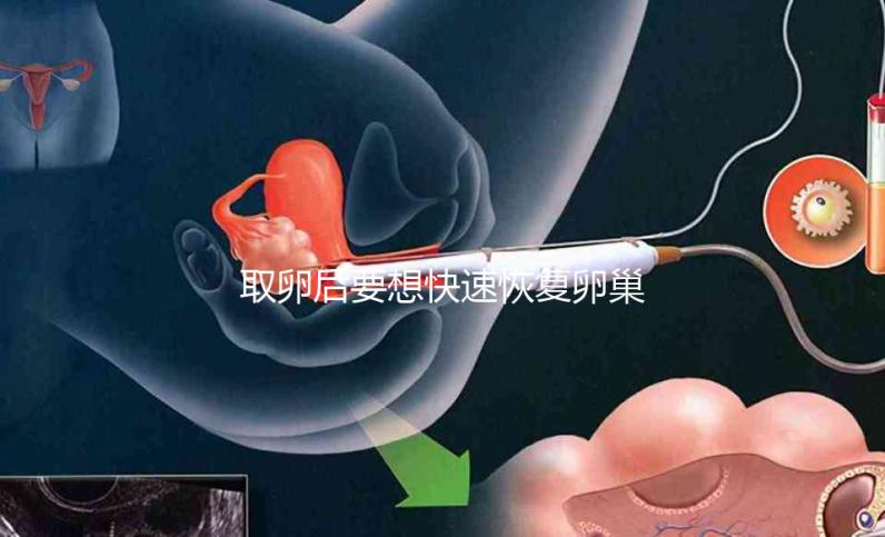 取卵后要想快速恢復卵巢，這8個方法絕對有效！