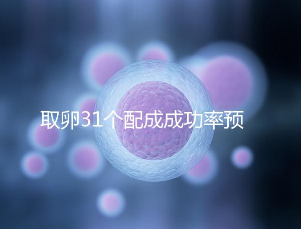 取卵31個配成成功率預測，鮮胚個數(shù)在這個范圍都有希望