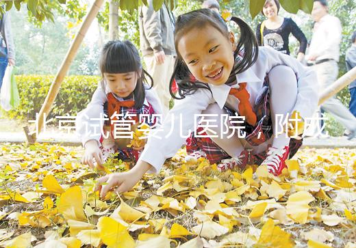 北京試管嬰兒醫(yī)院，附成功率、費用