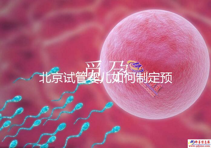 北京試管嬰兒如何制定預算,費用解析必看