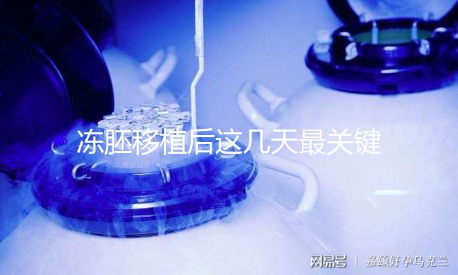 凍胚移植后這幾天最關鍵！一文揭秘重要原因