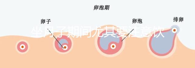 坐月子期間尤其要注意飲食，禁止吃的12種蔬菜有這些