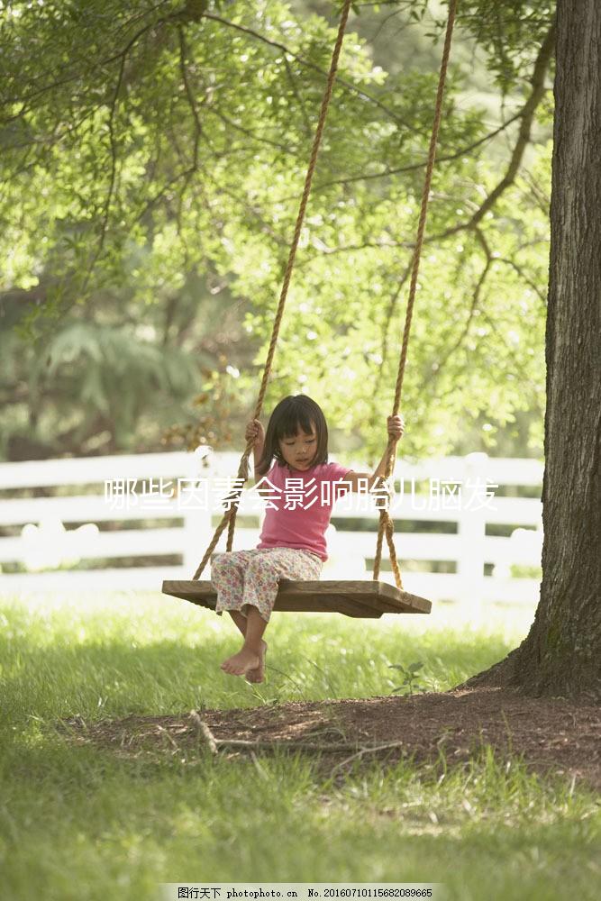 哪些因素會影響胎兒腦發育呢？聽聽孫麗洲教授怎么說