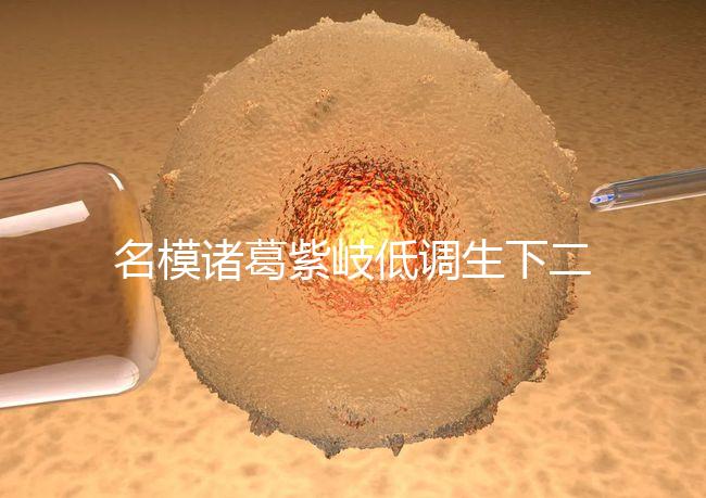 名模諸葛紫岐低調(diào)生下二胎，孕7個(gè)月肚子扁平成焦點(diǎn)