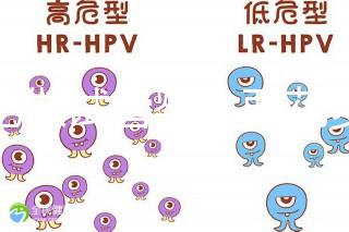 合肥做試管嬰兒要花多少錢？進周期前這些注意事項都來看看