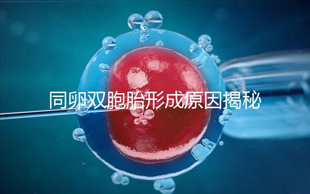 同卵雙胞胎形成原因揭秘，發(fā)育過程圖帶你弄清其中原理