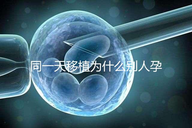 同一天移植為什么別人孕囊大答案公布，進周前都看看