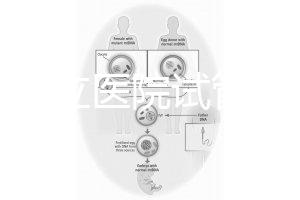 國內公立醫院試管嬰兒費用概覽：一般要花多少錢？