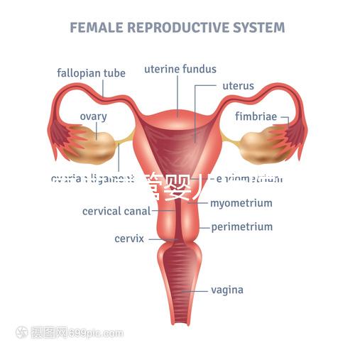 國內做試管嬰兒醫院有哪些？附全國十大試管醫院排名