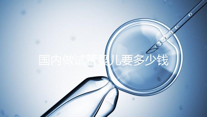 國內做試管嬰兒要多少錢