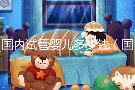 國內試管嬰兒多少錢(國內試管嬰兒多少錢一次)