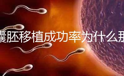 囊胚移植成功率為什么那么高？一期給你講明白！