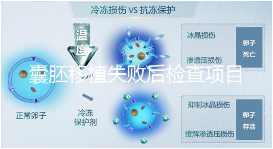 囊胚移植失敗后檢查項目，查免疫、內分泌必不可少