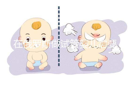 在俄羅斯做試管嬰兒需要什么條件？這四個條件缺一不可