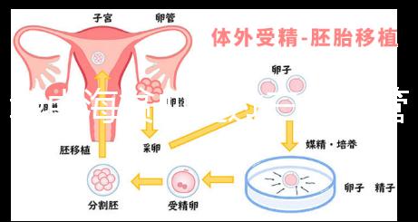 地中海貧血通過三代試管嬰兒真的可以生出健康的孩子嗎？