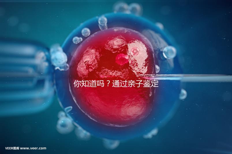 你知道嗎?通過親子鑒定補(bǔ)辦出生證也能給寶寶上戶口