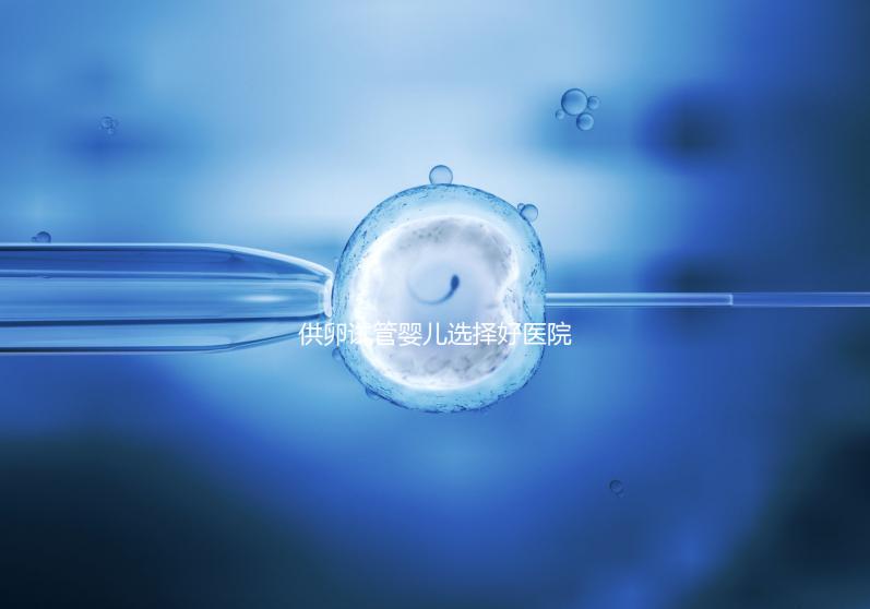 供卵試管嬰兒選擇好醫院是關鍵,泰國好的生殖中心有這些