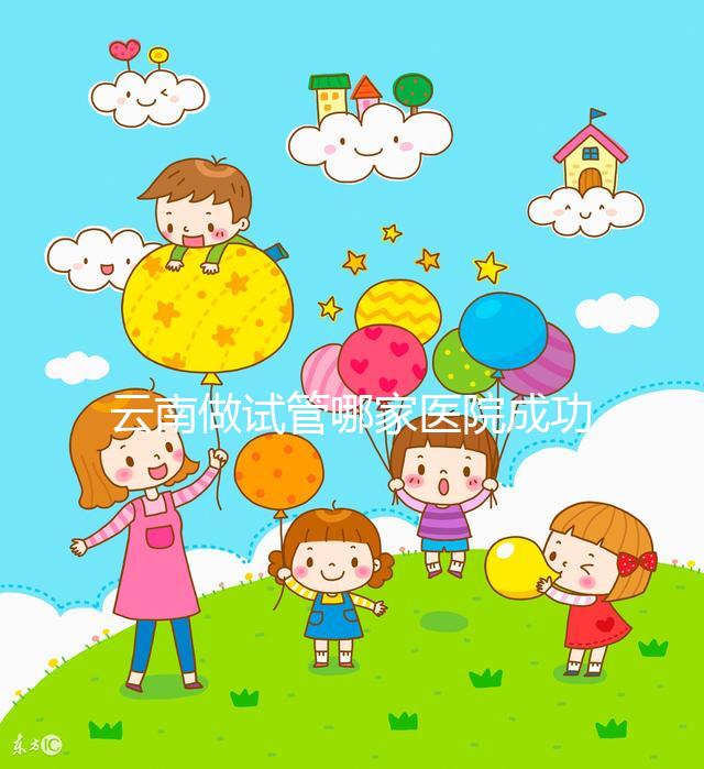 云南做試管哪家醫(yī)院成功率最高（哪里做試管便宜,成功率又高？）