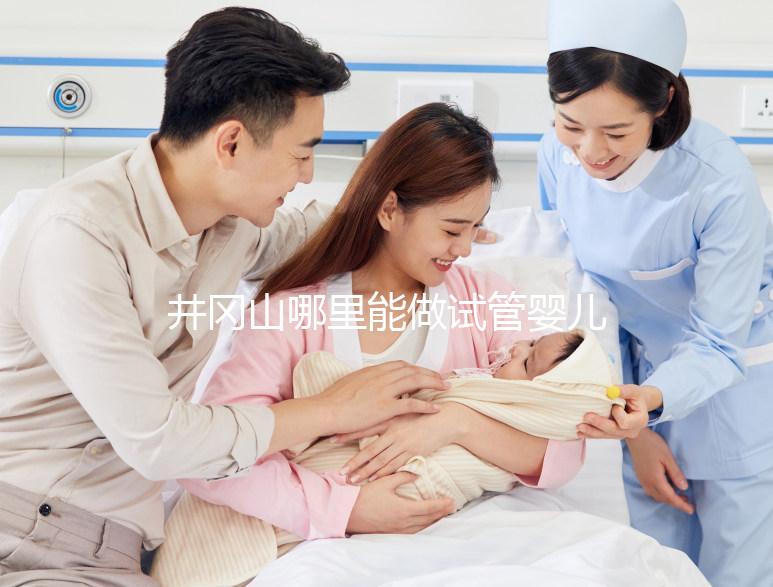 井岡山哪里能做試管嬰兒？江西省內這些地方都可以