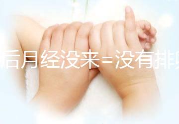 產(chǎn)后月經(jīng)沒(méi)來(lái)=沒(méi)有排卵=不會(huì)懷孕?想得美!