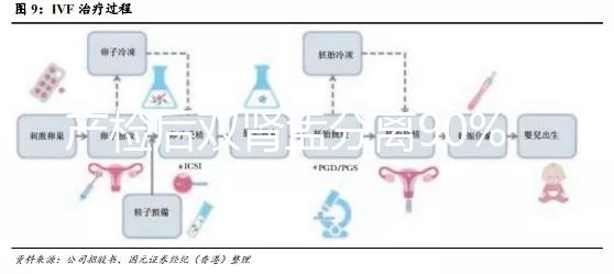 產檢后雙腎盂分離90%是男孩，或為孕期性別鑒定新高度