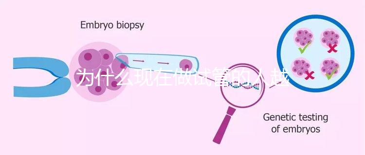 為什么現(xiàn)在做試管的人越來越多？解析背后的原因與趨勢(shì)！