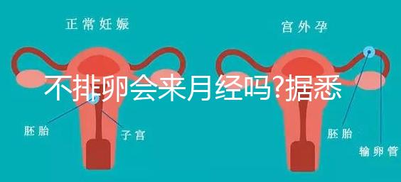 不排卵會(huì)來(lái)月經(jīng)嗎?據(jù)悉并不會(huì)推遲"大姨媽"的到來(lái)
