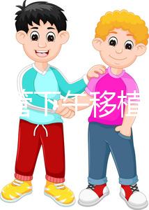 不懂試管下午移植上午要不要請(qǐng)假速覽,何時(shí)開始一看便知