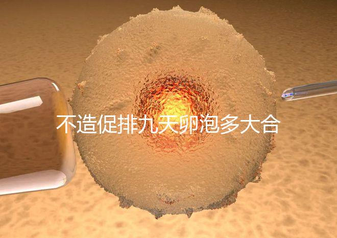 不造促排九天卵泡多大合適的瞧，卵巢功能好卵子10還能長(zhǎng)