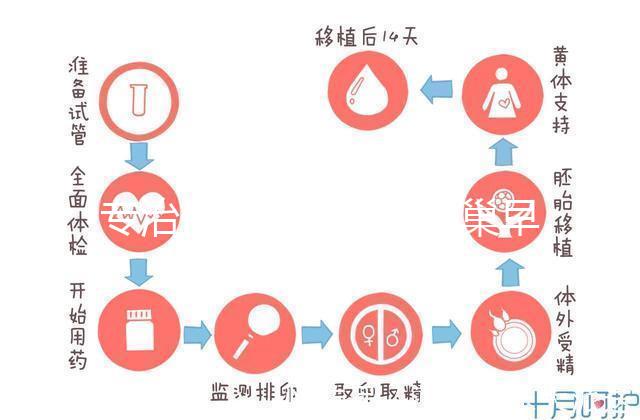 專治停經(jīng)、絕經(jīng)、卵巢早衰?利維愛的作用與適應癥分析
