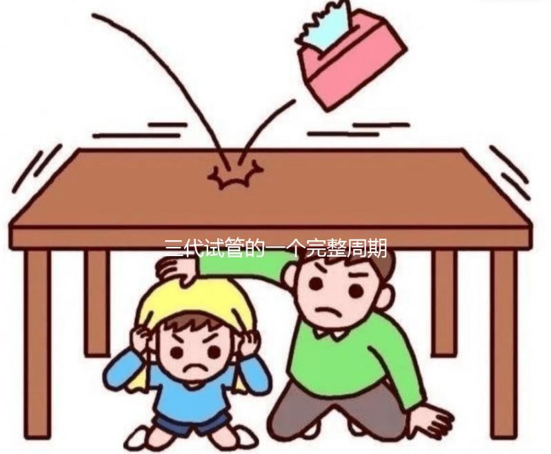 三代試管的一個完整周期包含哪些內(nèi)容？