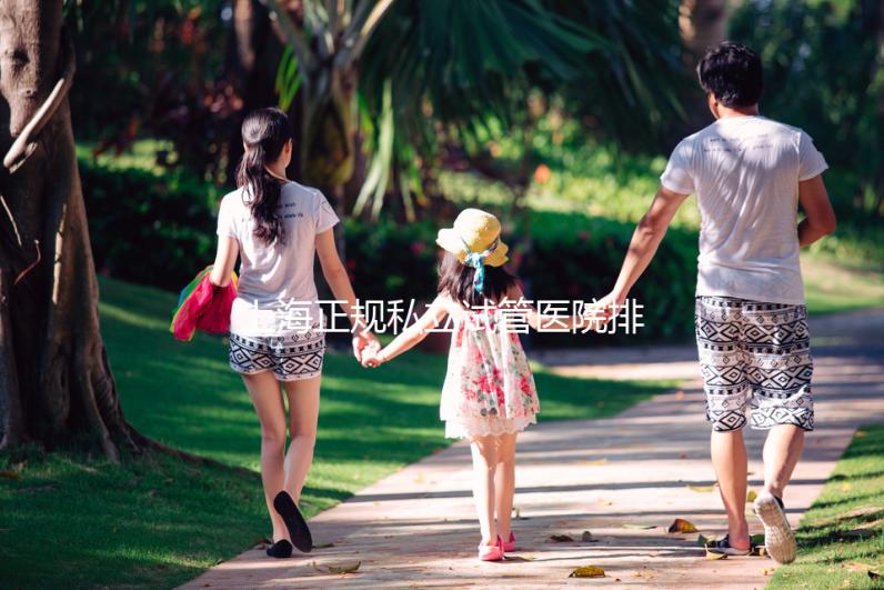 上海正規(guī)私立試管醫(yī)院排名發(fā)布，哪家助孕公司好一覽了然