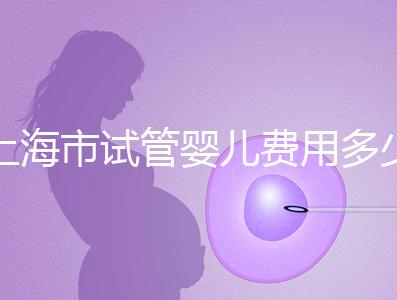 上海市試管嬰兒費(fèi)用多少錢？2025年最新價(jià)格明細(xì)及影響因素