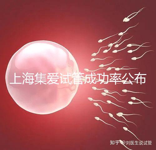 上海集愛試管成功率公布，排名輕松進(jìn)入全國(guó)前二十！