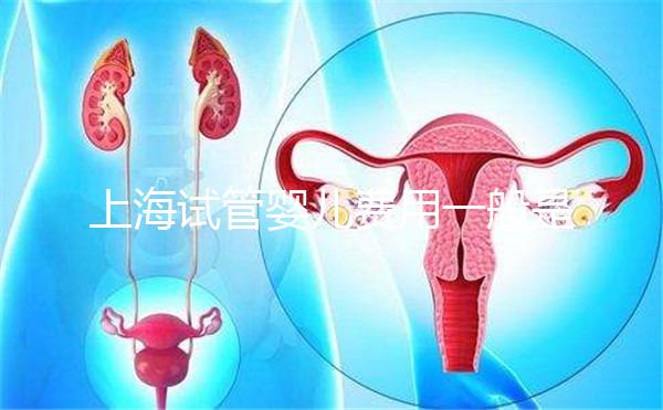 上海試管嬰兒費用一般是多少？2025年費用明細全解析、各技術(shù)方案價格對比與科學(xué)省錢全指南