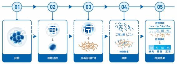 東莞有幾家試管嬰兒醫(yī)院？不同生殖中心費用和成功率詳解