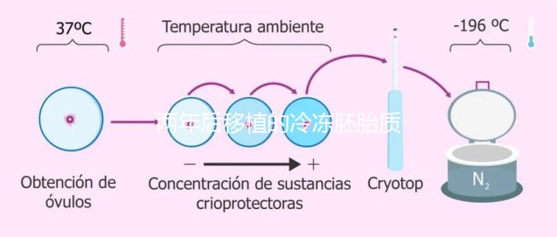 兩年后移植的冷凍胚胎質量差會怎么樣?有效的解決方案